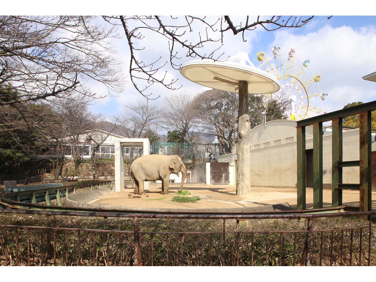 王子動物園