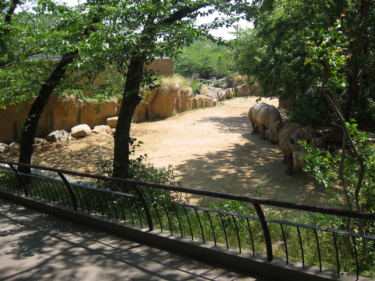 王子動物園