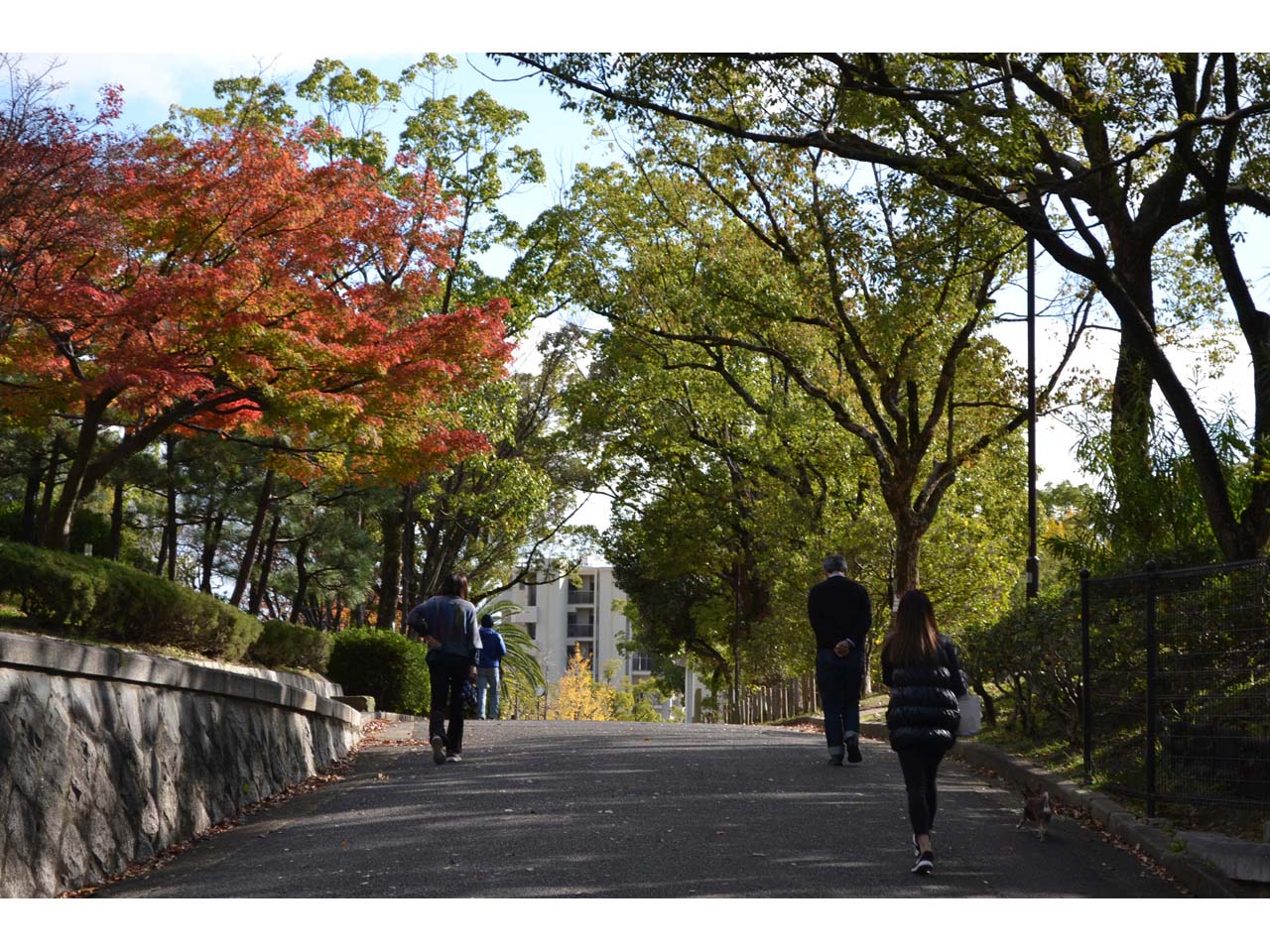 大倉山公園