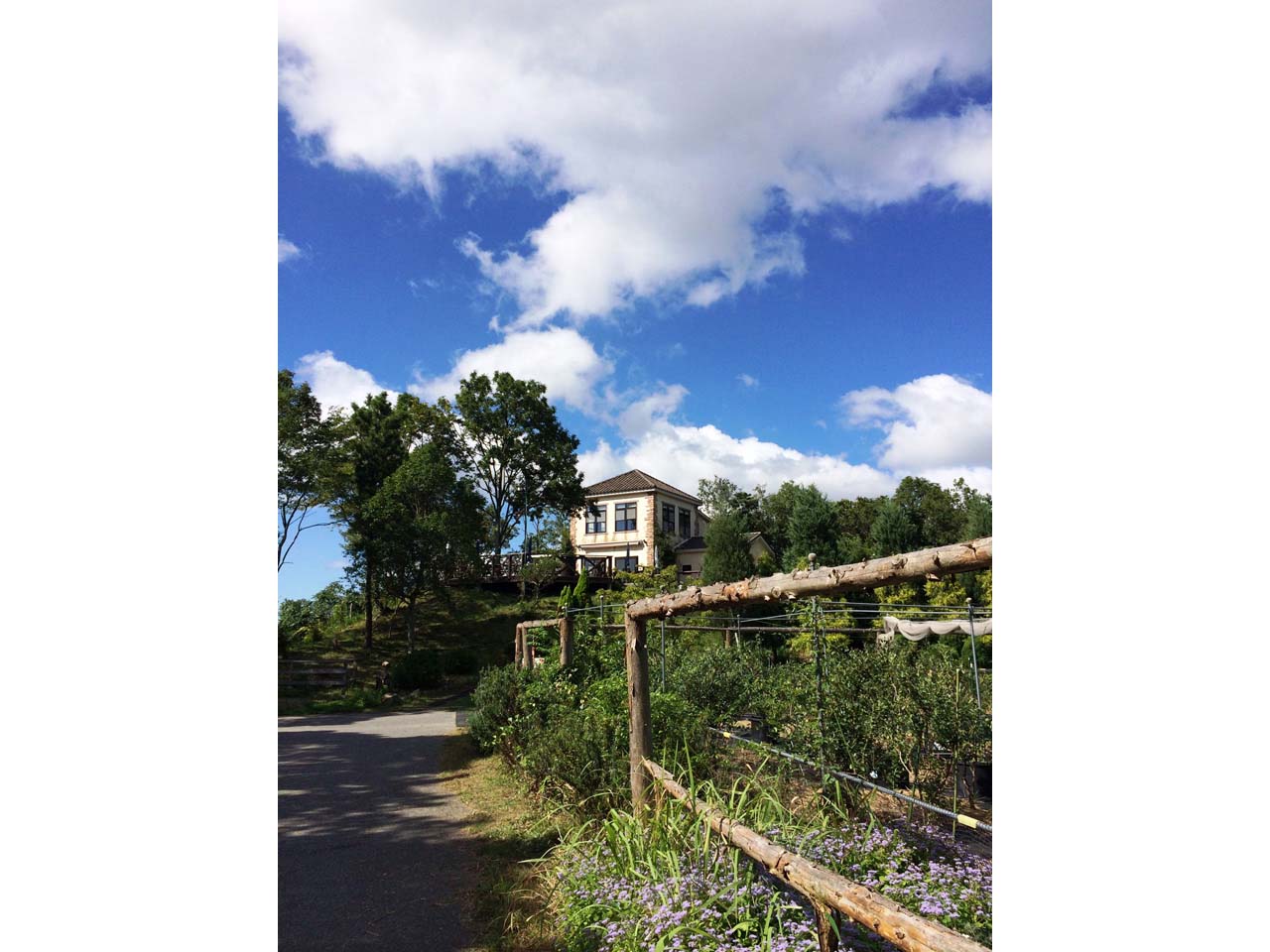 ドンキーバレー(風舎)