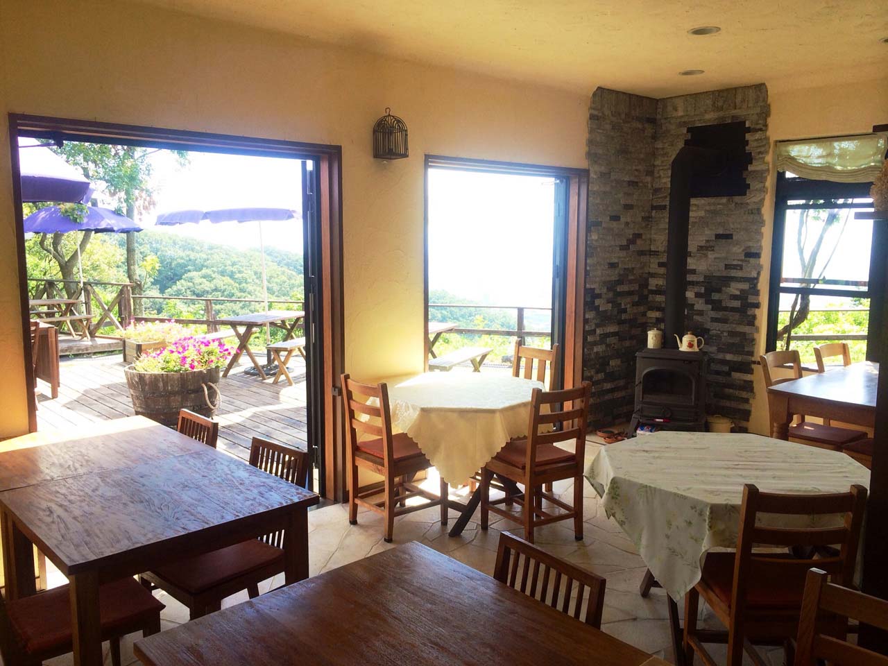 ドンキーバレー(風舎)