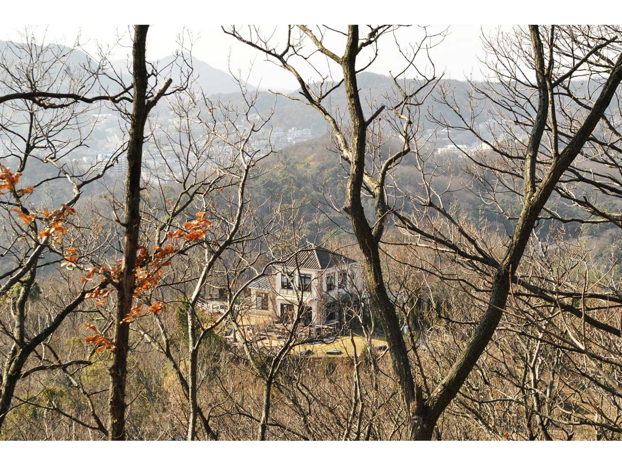 ドンキーバレー(風舎)