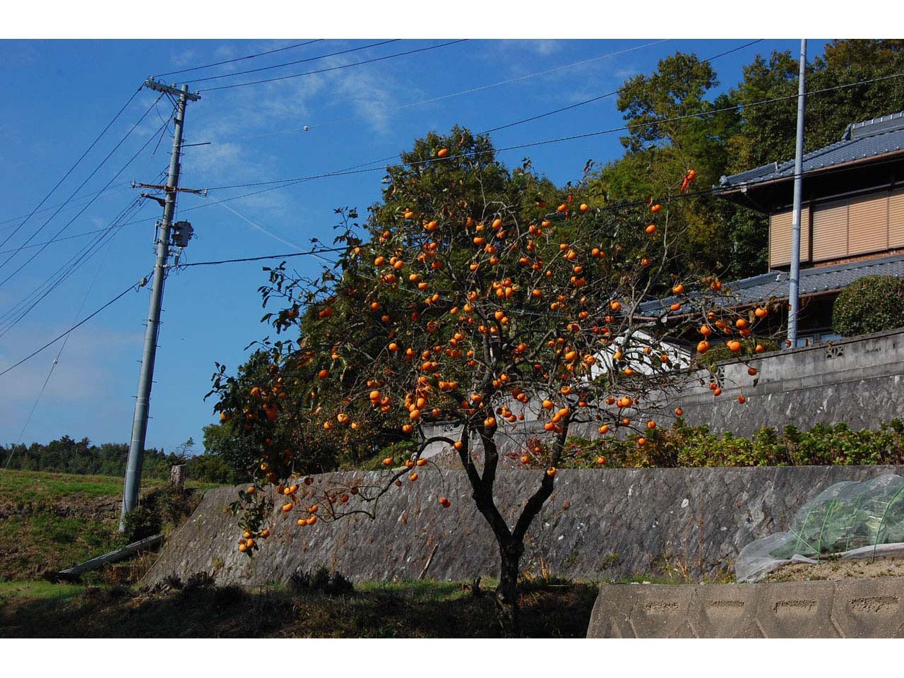 淡河町北僧尾周辺