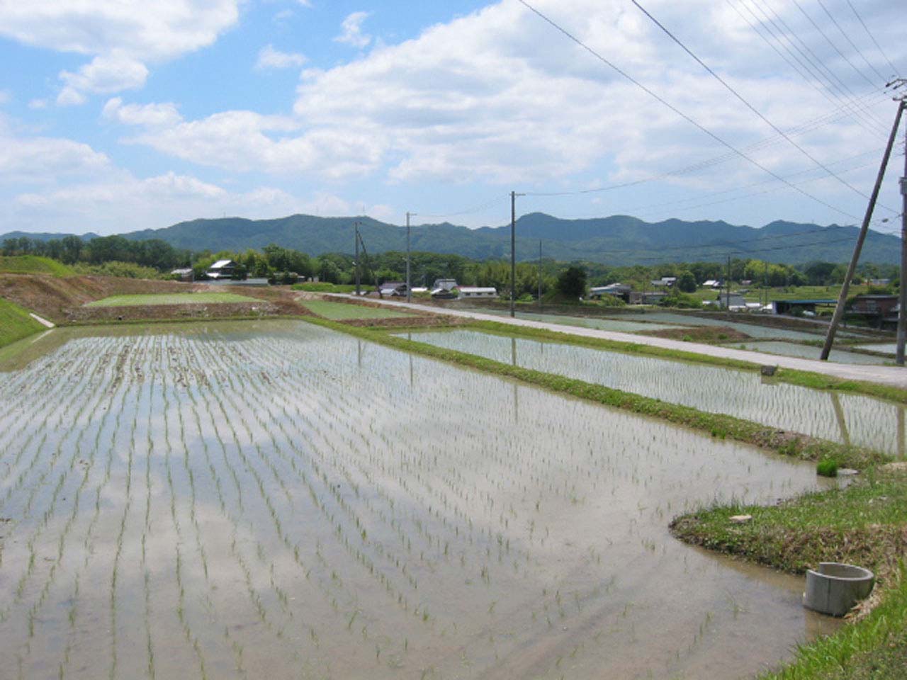 淡河町北僧尾周辺
