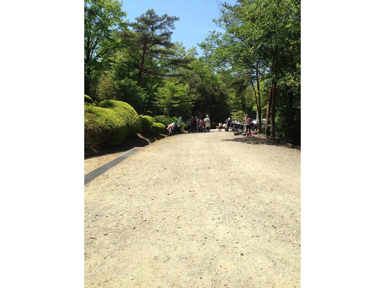 神戸青少年公園