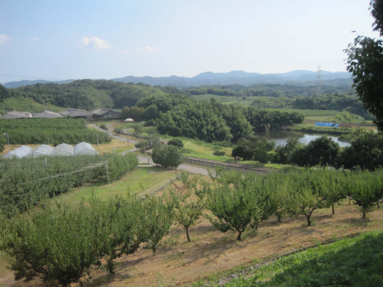 フルーツ・フラワーパーク