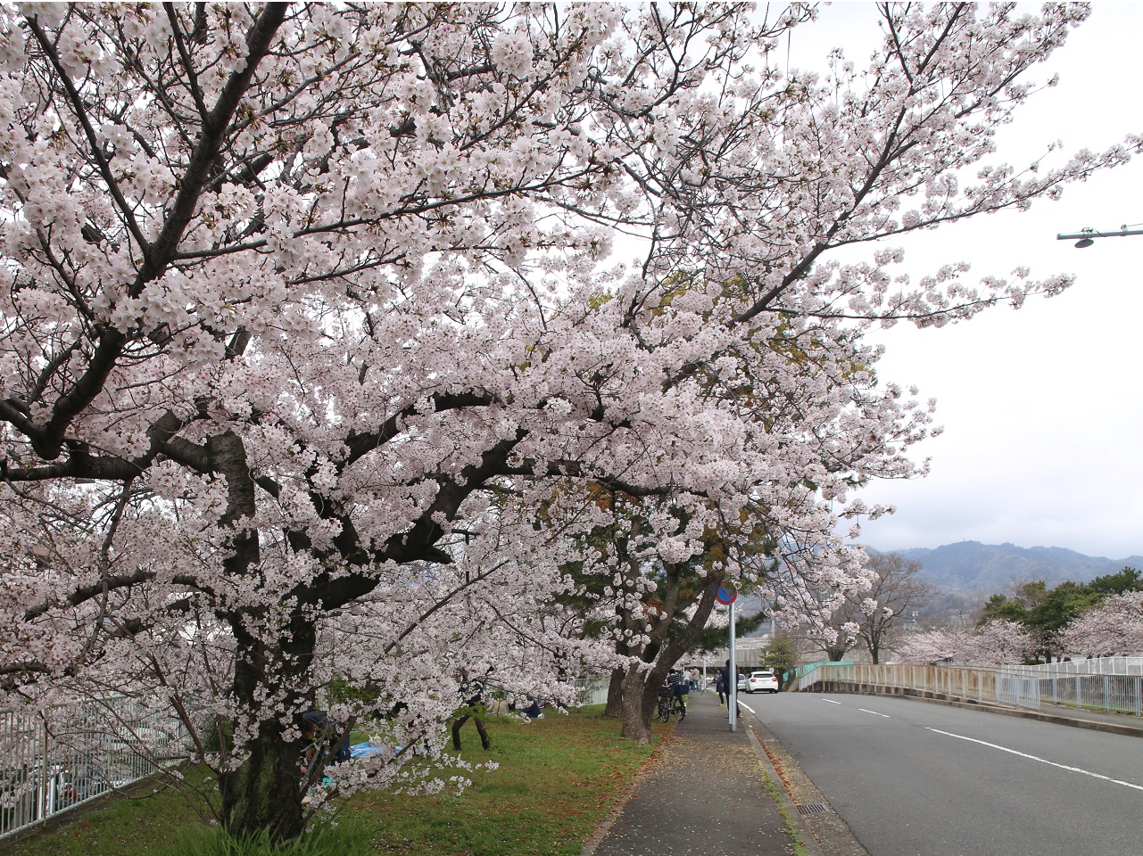 石屋川公園