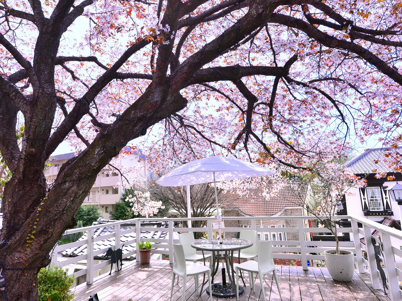 神戸北野美術館