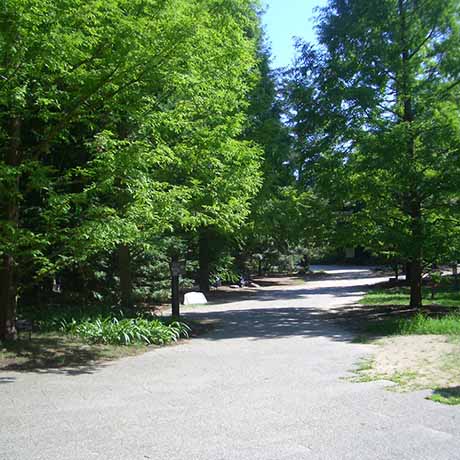 神戸市立自然の家