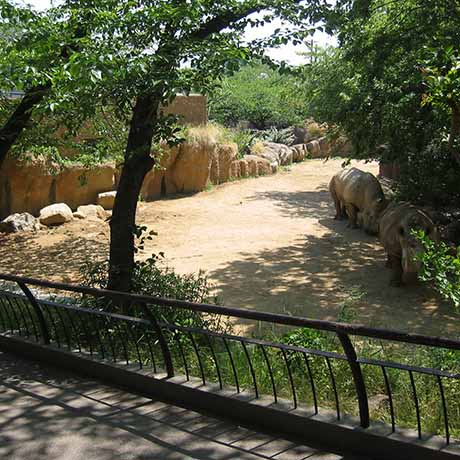 王子動物園