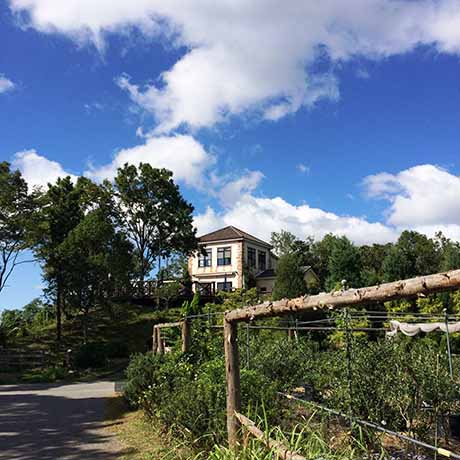 ドンキーバレー（風舎）