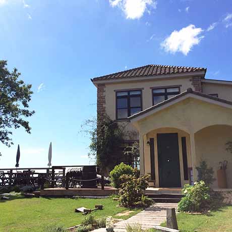 ドンキーバレー（風舎）