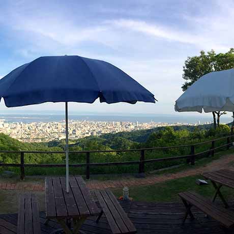 ドンキーバレー（風舎）