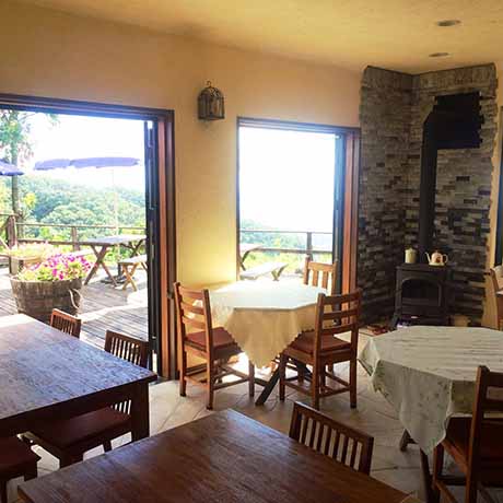 ドンキーバレー（風舎）