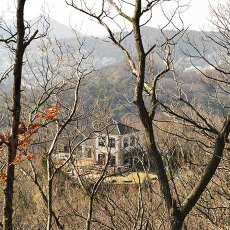 ドンキーバレー（風舎）