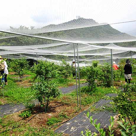 ドンキーバレー（風舎）