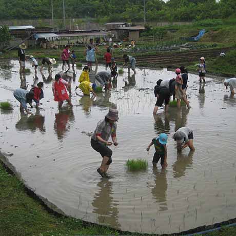 北神戸田園スポーツ公園