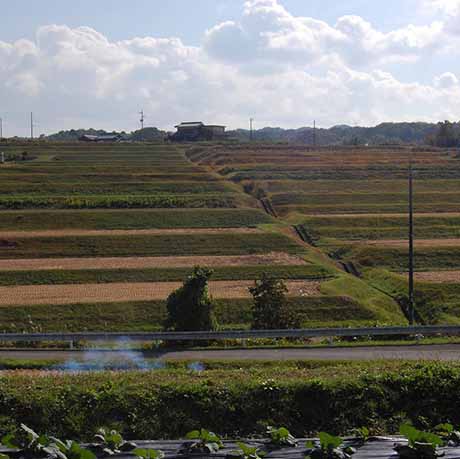 淡河町北僧尾周辺