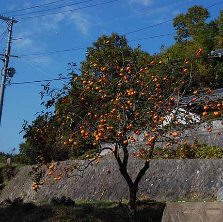 淡河町北僧尾周辺