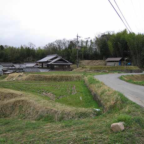 淡河町北僧尾周辺