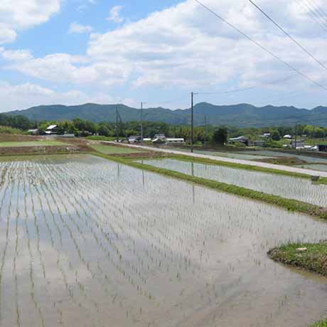 淡河町北僧尾周辺