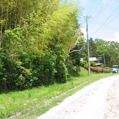 淡河町北僧尾周辺