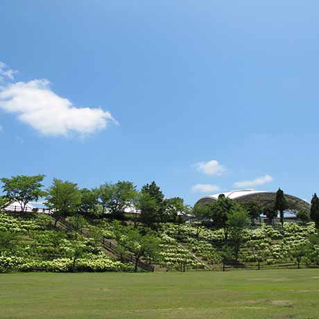 フルーツ・フラワーパーク