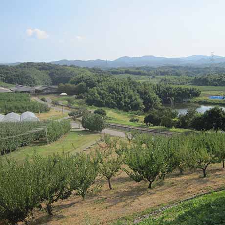 フルーツ・フラワーパーク