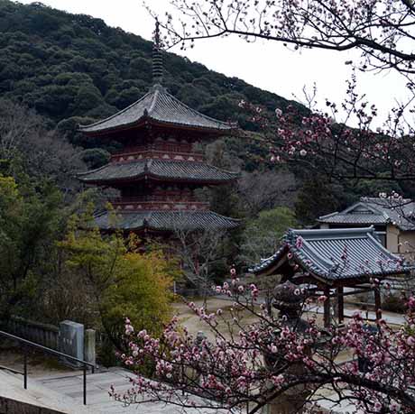 太山寺