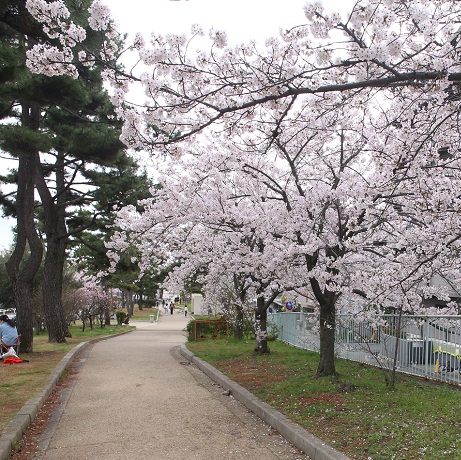 石屋川公園