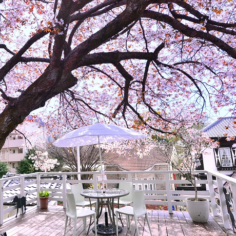 神戸北野美術館